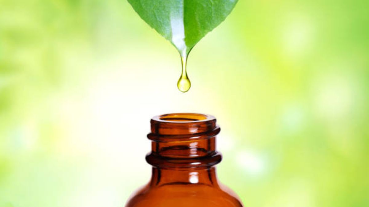 Plantas Medicinais