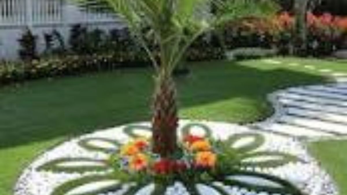 Jardim dos Sonhos
