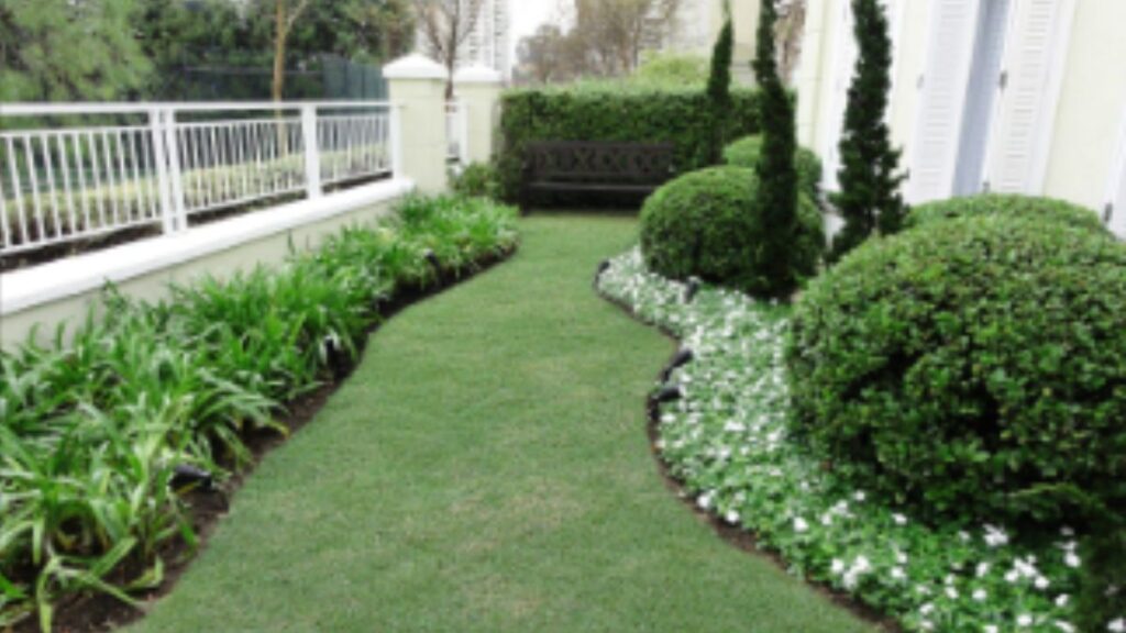 Plantas Sazonais
