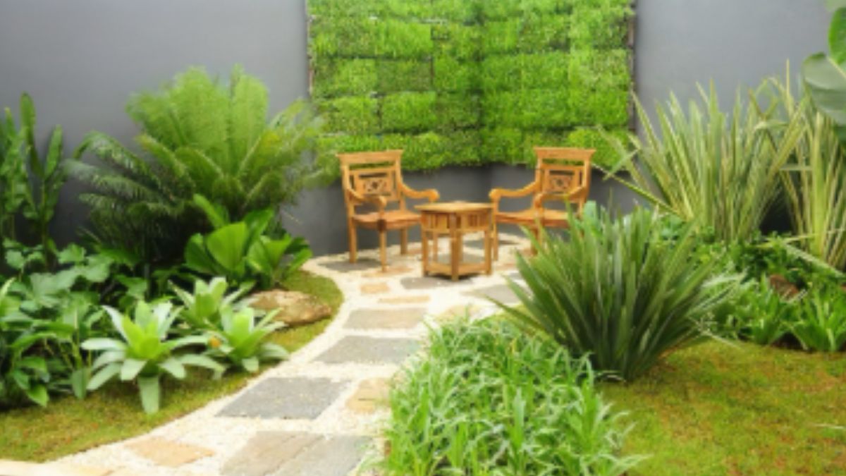 Plantas de Baixa Manutenção