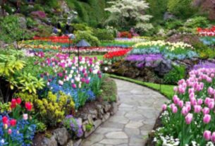 Plantas de Diferentes Estações