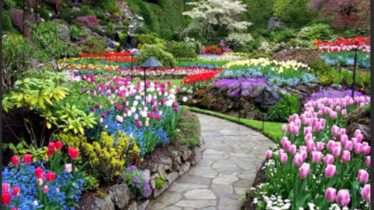 Plantas de Diferentes Estações