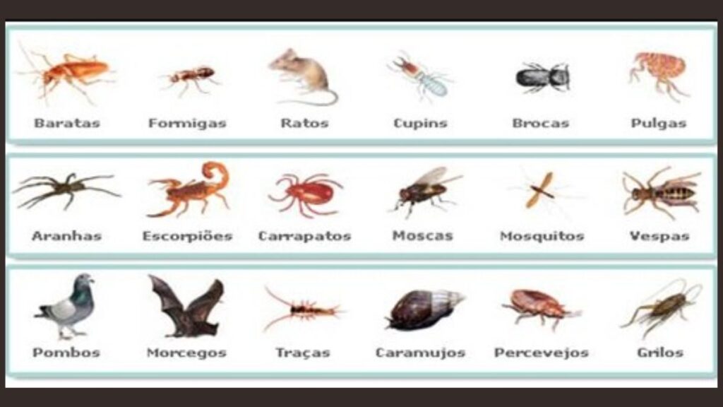 Pragas Urbanas