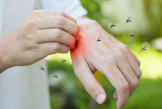 Prevenção de Pragas