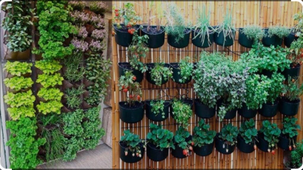 Horta em casa